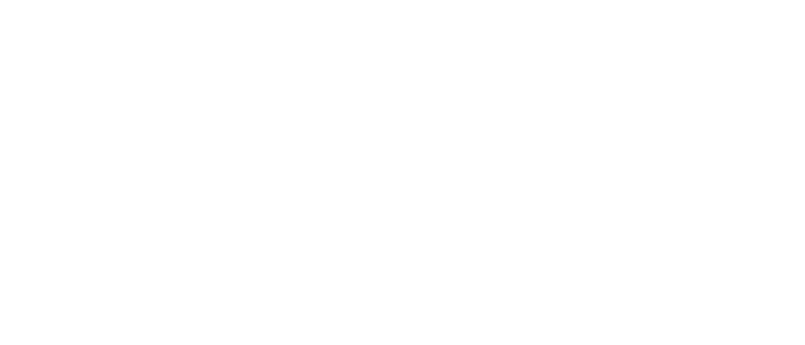 Android TV NetBird Integration